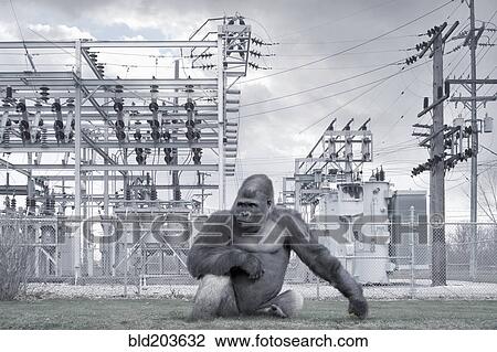 Stock Image - Gorilla outside of power station. Fotosearch
