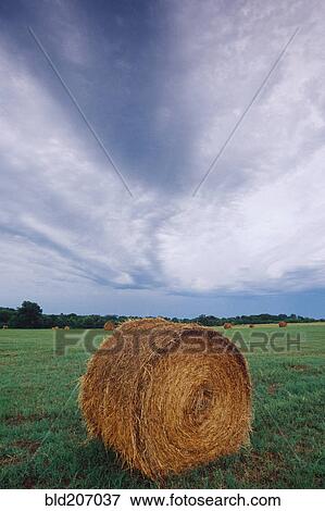 Stock Photo - Hay Bale in Field. Fotosearch