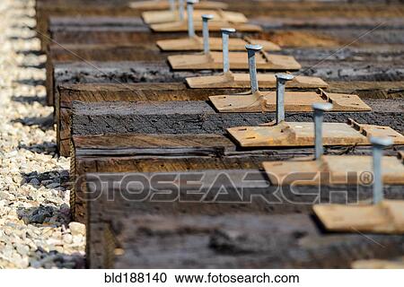 Stock Image - High angle view of railroad tracks and rail spikes. Fotosearch