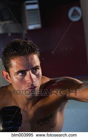 Hispanic boxer swinging View Large Photo Image Stock Photography - Hispanic boxer swinging. Fotosearch