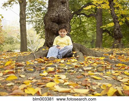 Stock Image - Hispanic boy sitting near tree in autumn. Fotosearch