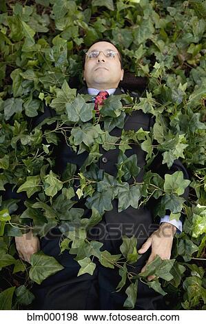 Hispanic businessman covered in ivy View Large Photo Image Stock Photo - Hispanic businessman covered in ivy. Fotosearch
