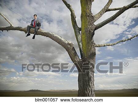 Hispanic businessman sitting in tree in remote area View Large Photo Image Stock Photo - Hispanic businessman sitting in tree in remote area. Fotosearch
