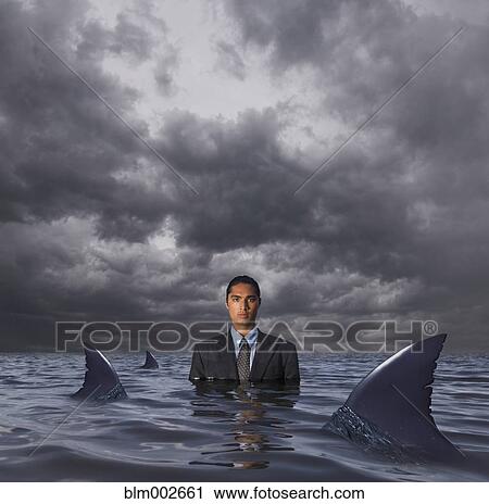 Hispanic businessman standing in water with sharks View Large Photo Image Stock Image - Hispanic businessman standing in water with sharks. Fotosearch