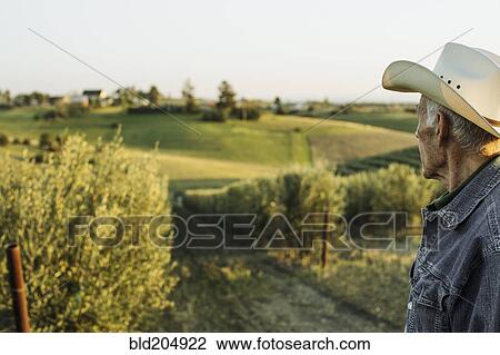 Stock Image - Hispanic farmer standing in vineyard. Fotosearch