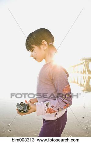 Stock Image - Hispanic girl gathering shells on beach. Fotosearch