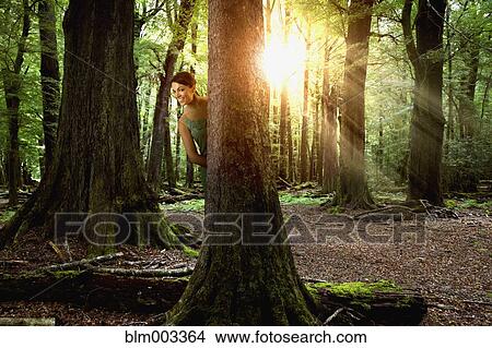 Picture - Hispanic woman peering from behind tree in forest. Fotosearch
