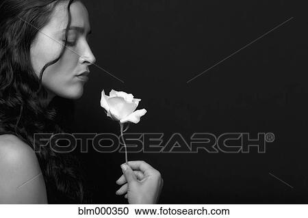 Stock Image - Hispanic woman smelling rose. Fotosearch