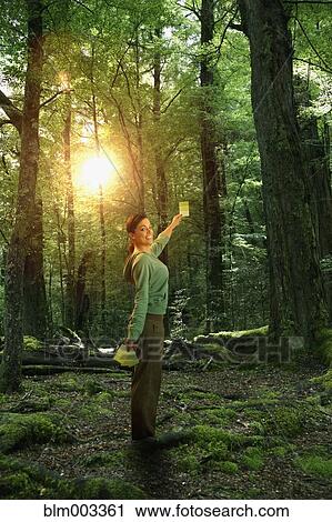 Hispanic woman with color card in forest View Large Photo Image Stock Image - Hispanic woman with color card in forest. Fotosearch