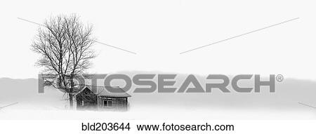 Picture - House and bare tree in snowy landscape. Fotosearch