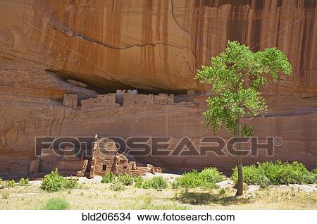 Picture - Indian Cliff Dwellings. Fotosearch
