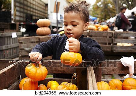 Stock Photography - Mixed race girl picking pumpkins at market. Fotosearch