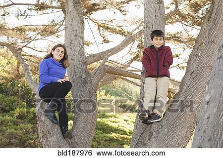 Stock Photograph - Mixed race siblings smiling in tree. Fotosearch