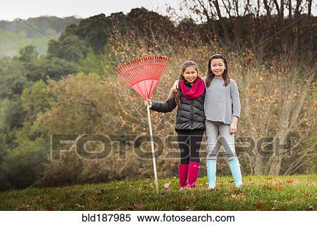 Stock Photography - Mixed race sisters raking autumn leaves on lawn. Fotosearch