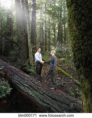 Stock Image - Multi-ethnic businessmen shaking hands on fallen tree. Fotosearch