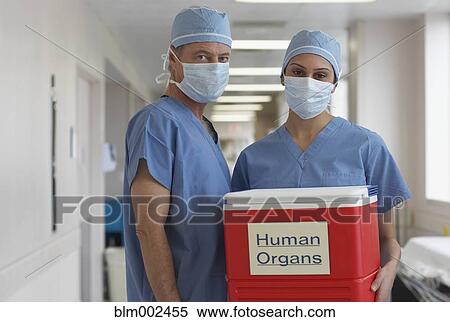 Stock Photography - Multi-ethnic medical professionals holding human organ cooler. Fotosearch