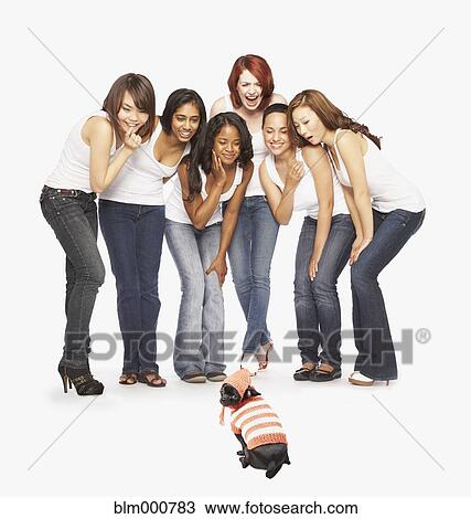 Stock Image - Multi-ethnic women admiring dog in costume. Fotosearch