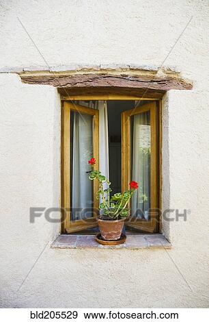 Stock Photo - Open Window and Potted Plant. Fotosearch