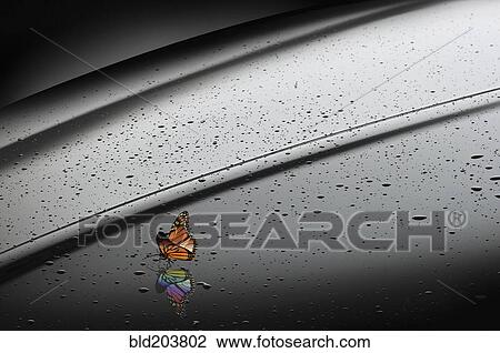 Stock Image - Orange butterfly with rainbow reflection. Fotosearch