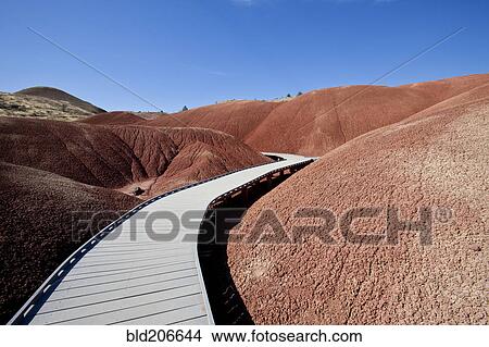 Picture - Pathway Through Desert. Fotosearch