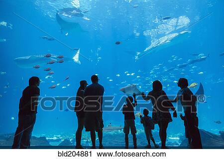Stock Image - People admiring fish in aquarium. Fotosearch