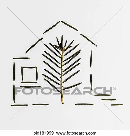 Stock Photo - Pine needle and leaf in house shape. Fotosearch