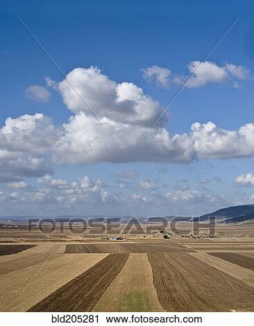 Stock Image - Plowed Agricultural Fields in the Beit Netofa Valley. Fotosearch