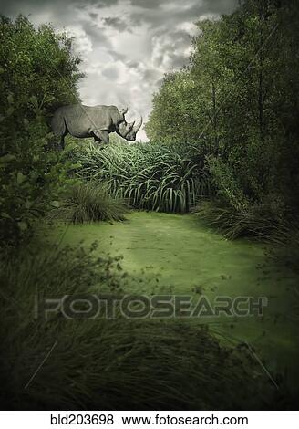 Rhino walking in jungle View Large Photo Image Stock Photo - Rhino walking in jungle. Fotosearch