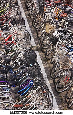 Rows of Parked Bicycles View Large Photo Image Stock Photograph - Rows of Parked Bicycles. Fotosearch