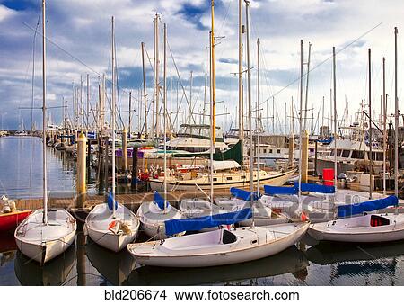 Picture - Sailboats Docked in Marina. Fotosearch