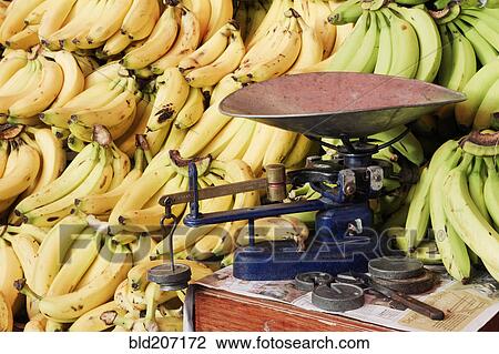 Scales and Bananas View Large Photo Image Stock Image - Scales and Bananas. Fotosearch
