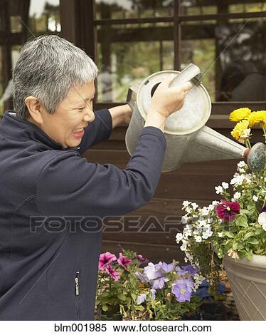 Stock Photography - Senior Asian woman watering plants outdoors. Fotosearch