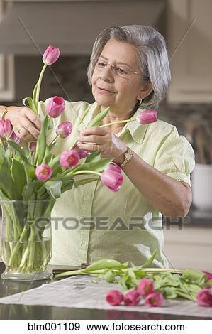 Stock Photo - Senior Hispanic woman arranging tulips. Fotosearch
