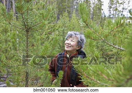 Stock Image - Senior Japanese woman hiking in forest. Fotosearch