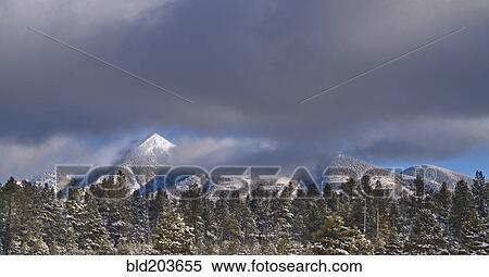 Stock Photography - Snow capped mountains and trees under storm clouds. Fotosearch