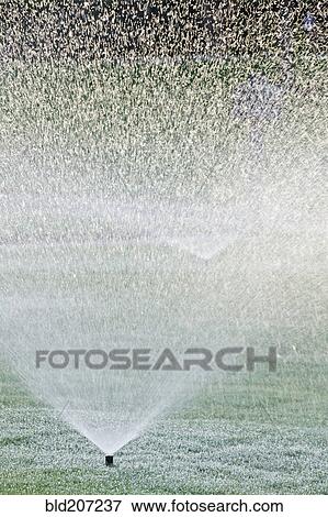 Stock Photo - Sprinklers on Lawn. Fotosearch