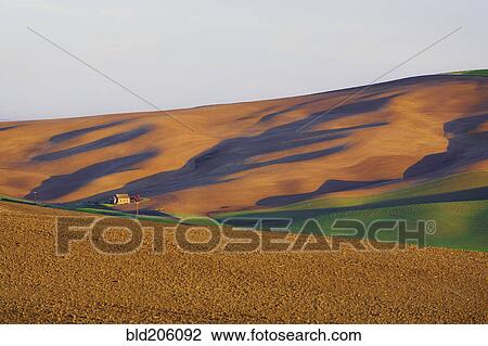 Stock Image - Sunrise landscape in the Palouse Hills, Washington State. Fotosearch