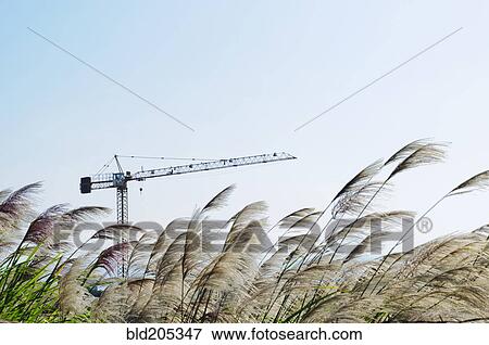 Taoyuan, Taiwan View Large Photo Image Stock Photo - Taoyuan, Taiwan. Fotosearch