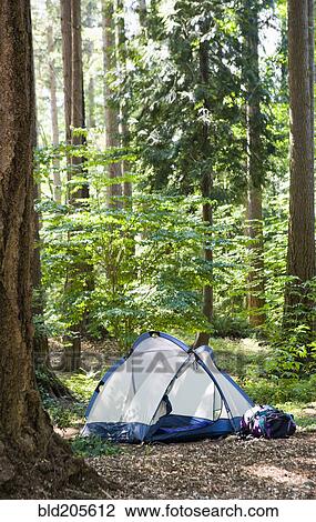 Stock Image - Tent in the Woods. Fotosearch