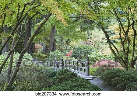Picture - The Japanese Garden in Portland. Fotosearch