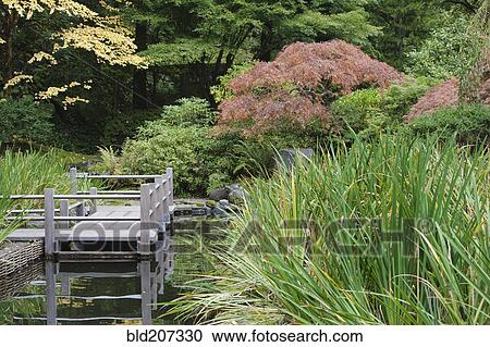 Stock Image - The Japanese Garden in Portland. Fotosearch