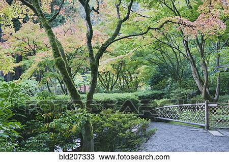 Stock Image - The Japanese Garden in Portland. Fotosearch
