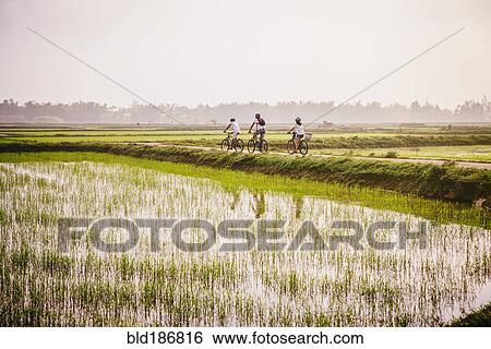 Tourists riding bicycles in rural landscape View Large Photo Image Stock Photograph - Tourists riding bicycles in rural landscape. Fotosearch