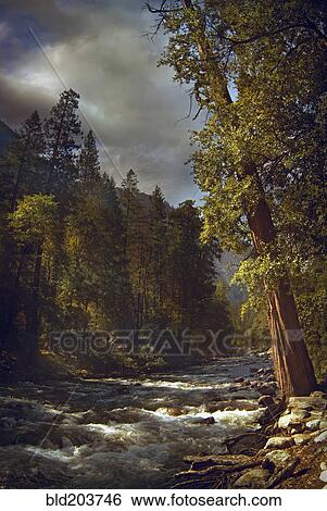 Stock Photograph - Trees and hillside by rural river. Fotosearch