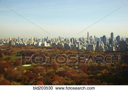 Stock Image - Urban park and skyscrapers, New York, New York, United States. Fotosearch