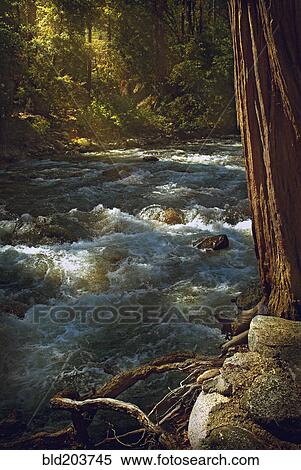 Stock Photography - Water rushing over rocks in rural river. Fotosearch