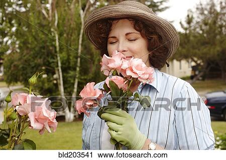 Woman smelling roses in garden View Large Photo Image Stock Image - Woman smelling roses in garden. Fotosearch