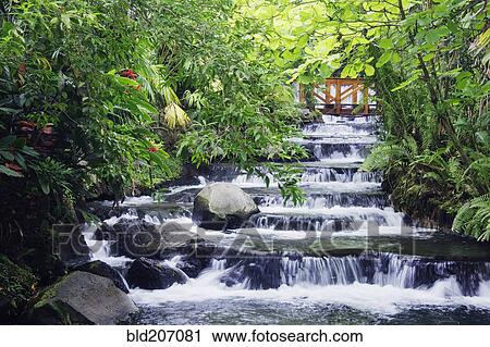 Stock Image - Wooden Bridge Over Stream in Forest. Fotosearch