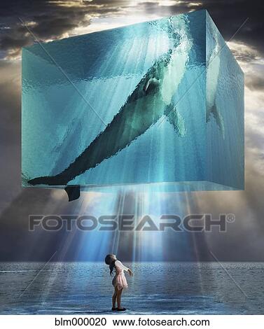 Stock Image - Young girl looking up at whale in block of water. Fotosearch