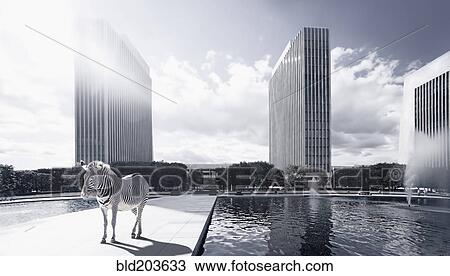 Stock Image - Zebra on platform in urban park. Fotosearch